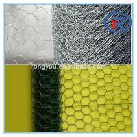 China cheap Hexagonal Wire Netting/ fence netten mesh/ animal catching netsing